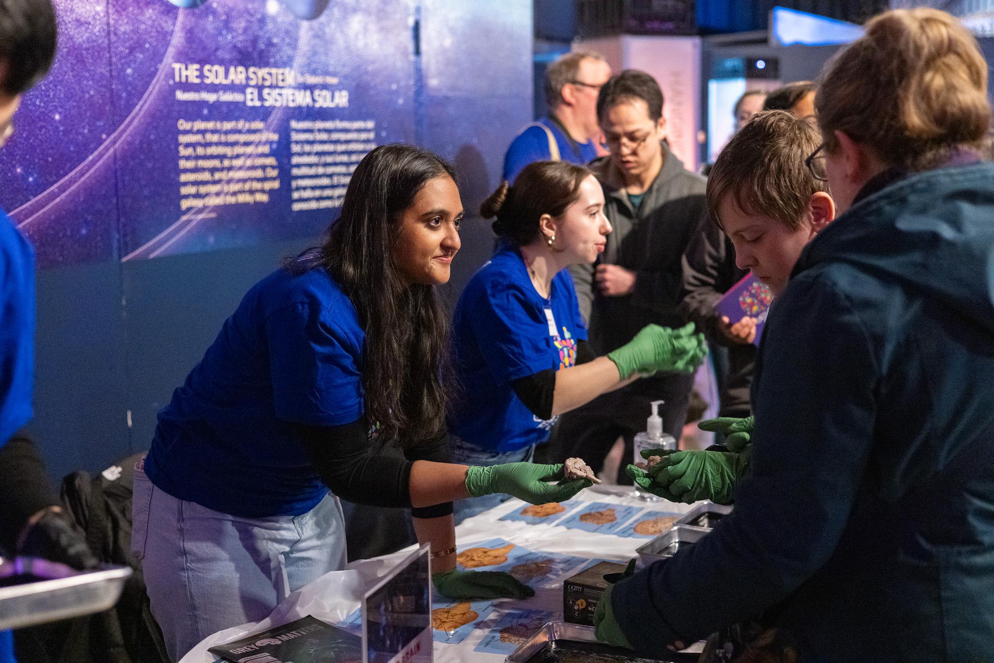 Outreach activity at Brain Fest held by the Pacific Science Institute